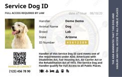 Service Dog ID